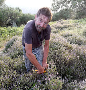 klompenopkreta arno savory