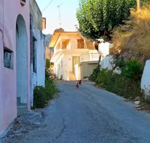 klompenopkreta chicken