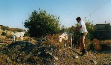 klompenopkreta helping hand